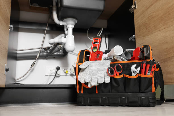 Best Local Plumber Services  in Squaw Valley, CA