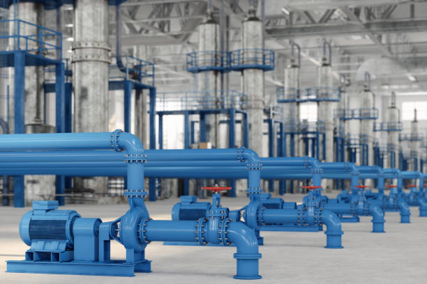 Best Plumbing Inspection Services  in Squaw Valley, CA