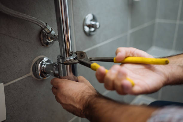 Best Clogged Drain Plumber  in Squaw Valley, CA